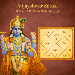 Find Your Favorite Brand