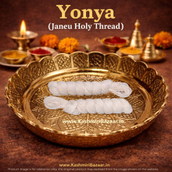 Find Your Favorite Brand