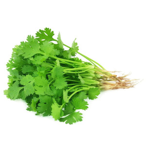 Coriander (Dhania) Seeds