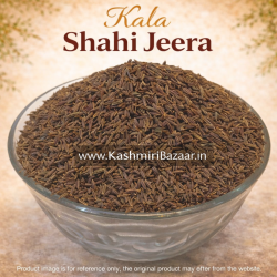 Find Your Favorite Brand