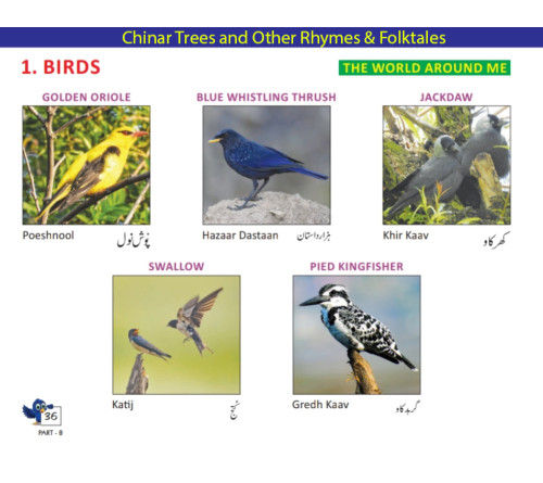 Chinar Trees | Shikara | Samavar |Kashmiri Rhyme Books for Children